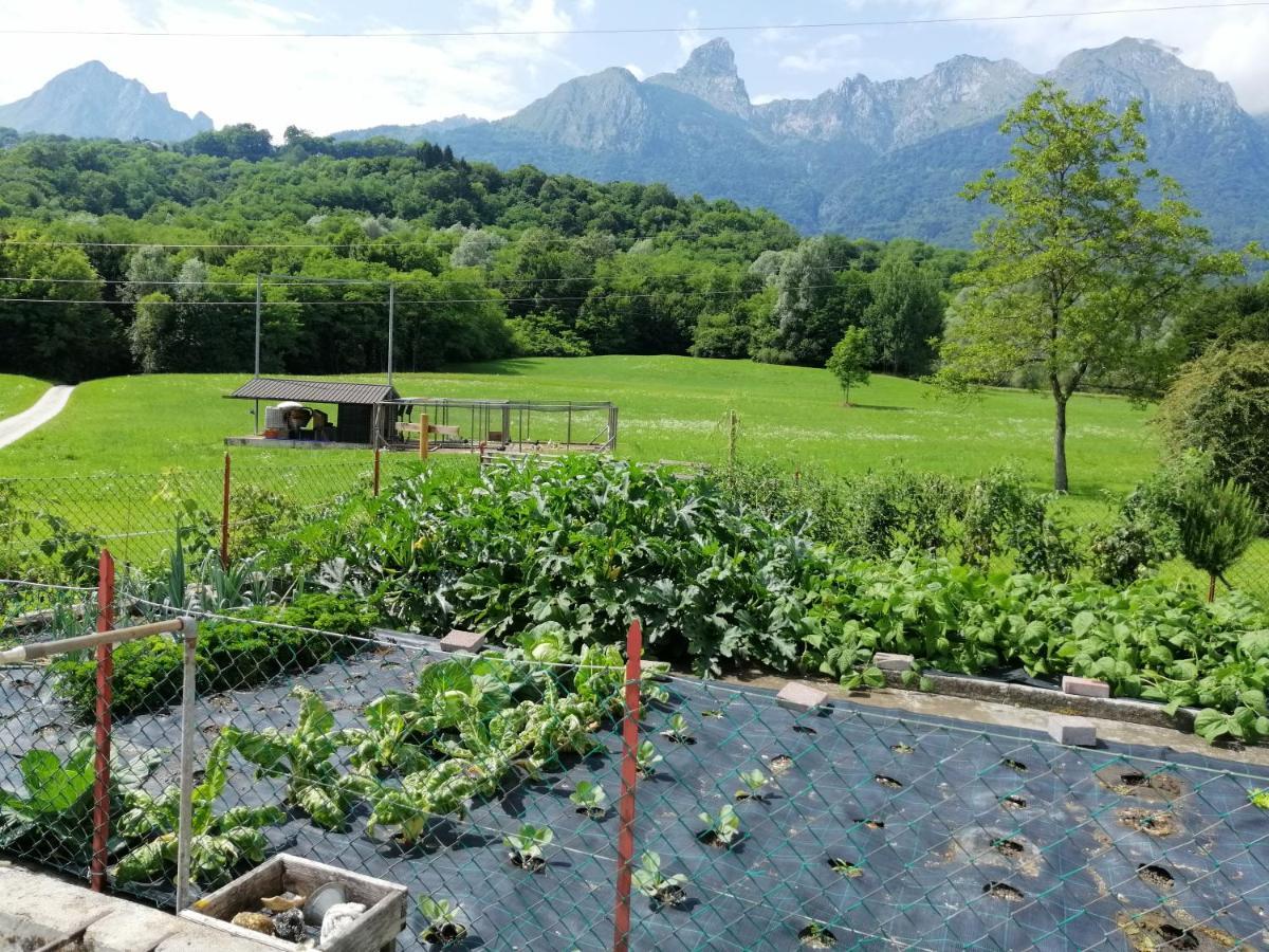 B&B La Casa Di Loretta Paderno Eksteriør billede